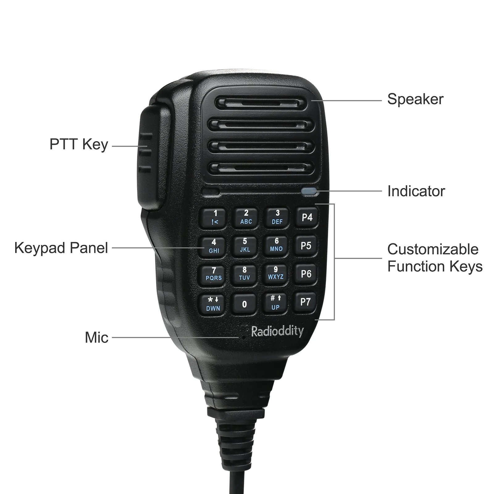 Radioddity DB25-D [OPEN BOX] - Image 8